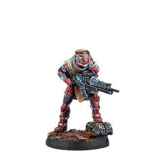 Infinity: Beyond Operation Mazebreaker