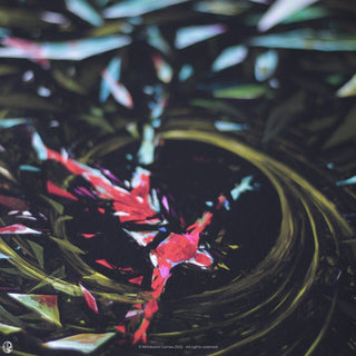 Dominik Mayer: Prismatic Ending