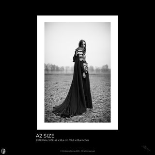 Laura Sheridan: Elysian Field