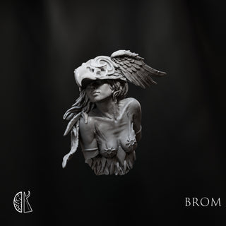 Brom: Red Wing Academic Bust
