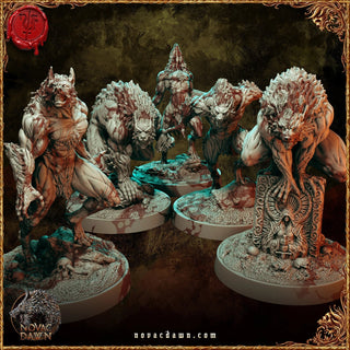 Novac Dawn The Pack
