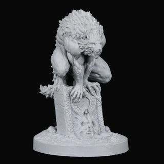 Novac Dawn The Pack