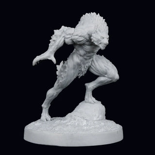 Novac Dawn The Pack