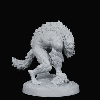 Novac Dawn The Pack